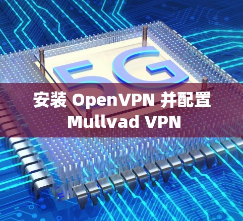 安装 OpenVPN 并配置 Mullvad VPN 安装 OpenVPN 并配置 Mullvad VPN