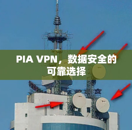 PIA VPN,数据安全的可靠选择 PIA VPN,数据安全的可靠选择