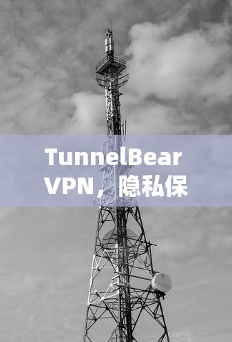 TunnelBear VPN,隐私保护与网络安全的双重保障 TunnelBear VPN,隐私保护与网络安全的双重保障