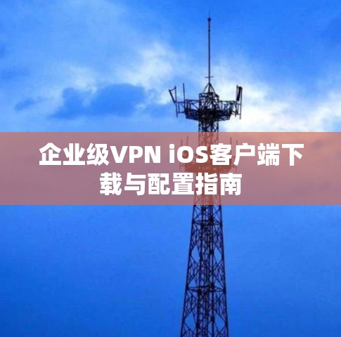 企业级VPN iOS客户端下载与配置指南 企业级VPN iOS客户端下载与配置指南