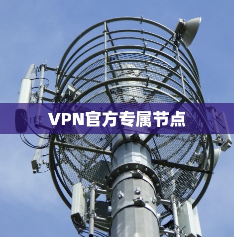 VPN官方专属节点