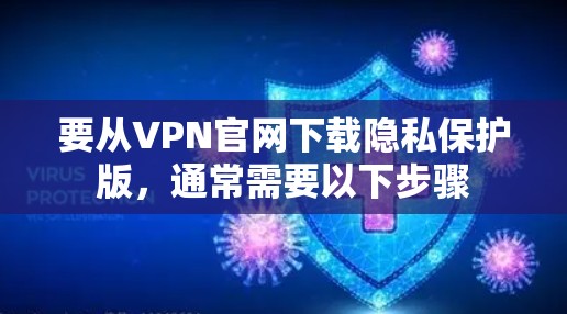 要从VPN官网下载隐私保护版，通常需要以下步骤
